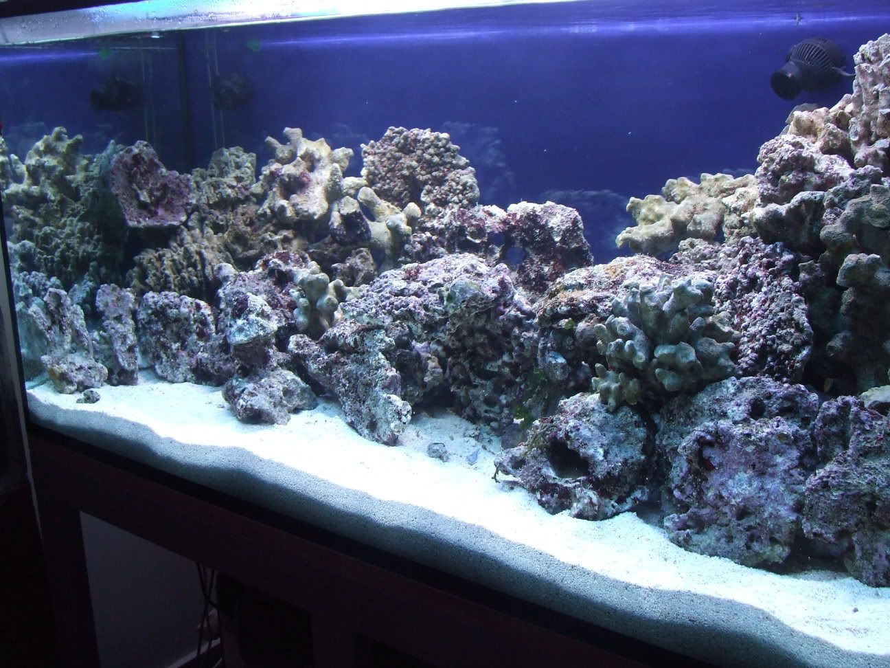 10-10-20086.jpg