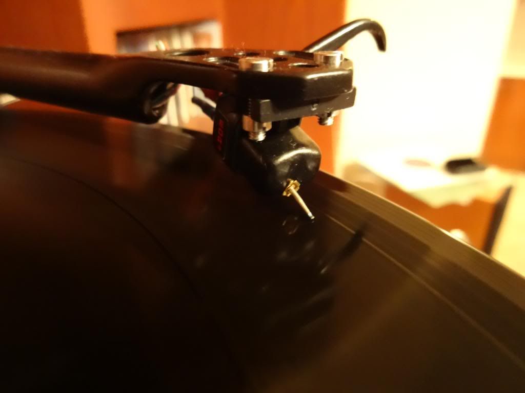 DSC00498_zpsdc596917.jpg