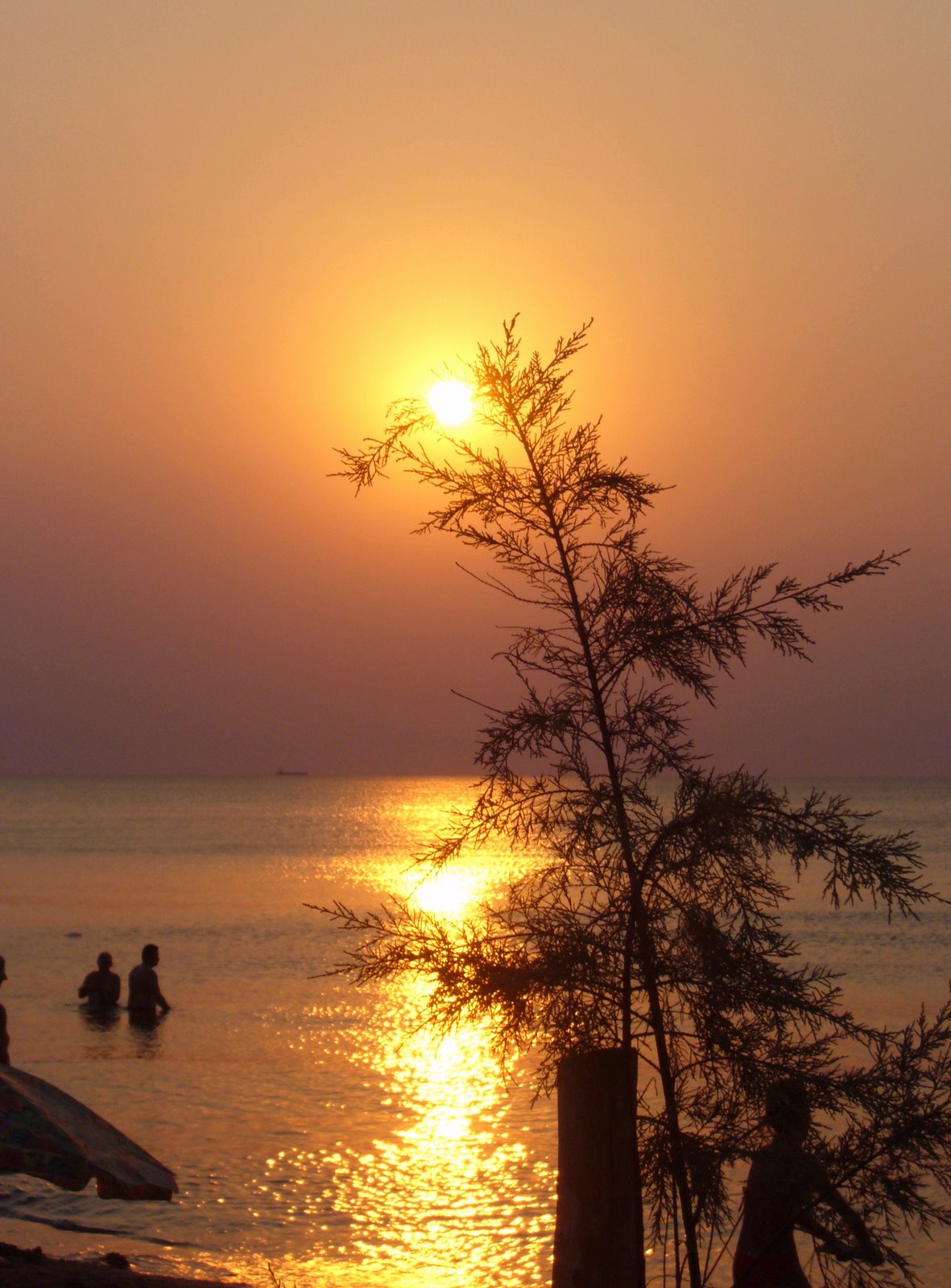 sunset2.jpg
