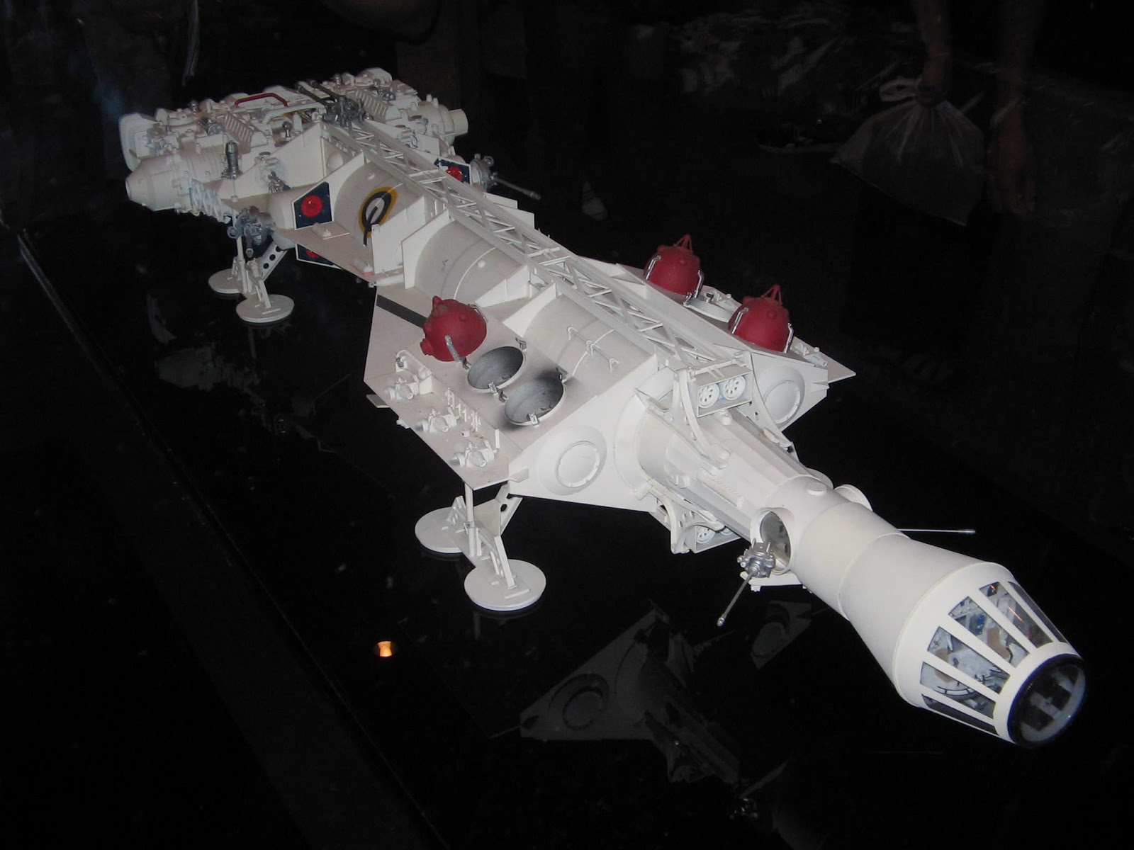 falconss.jpg