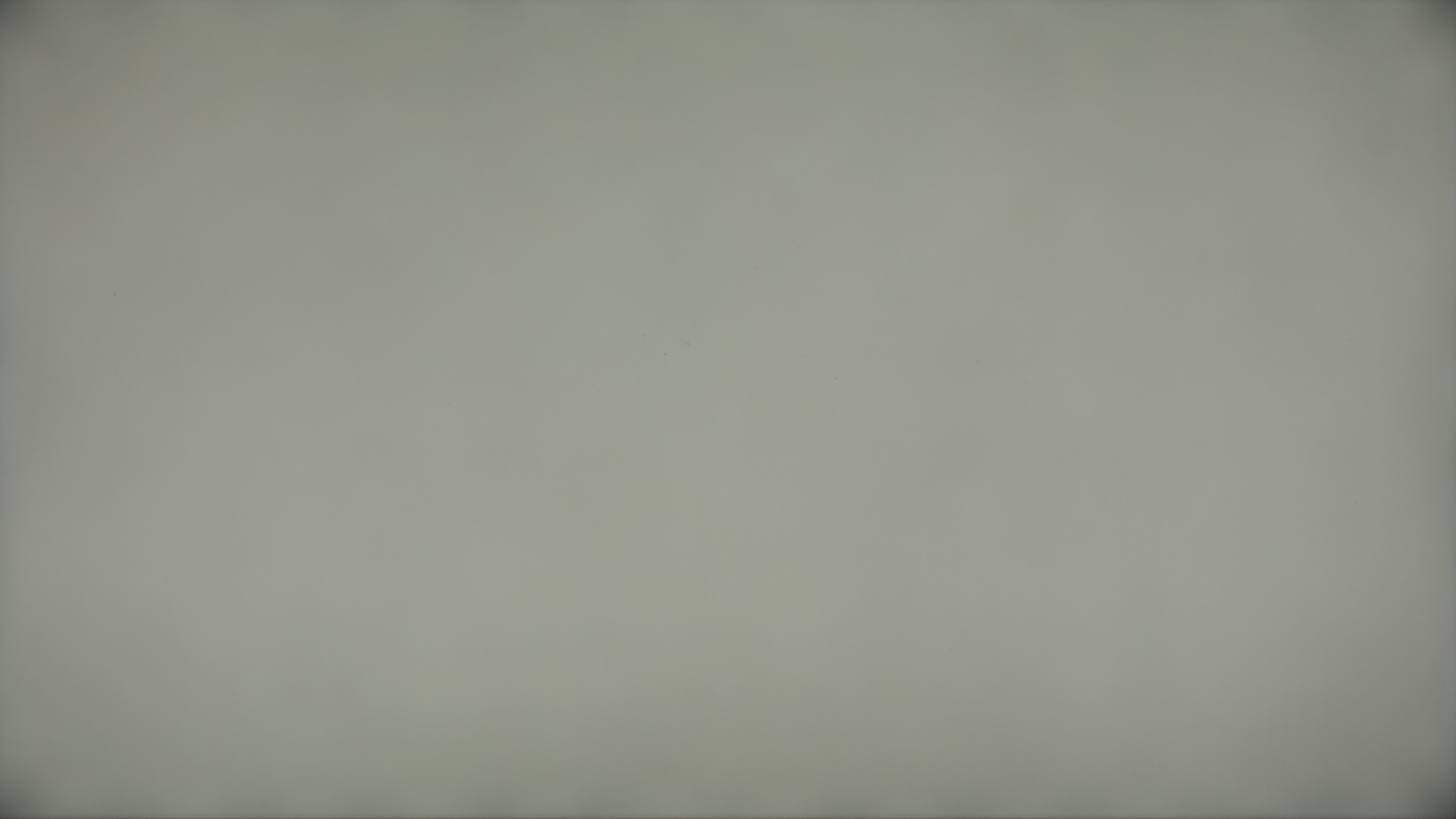 dse-large.jpg