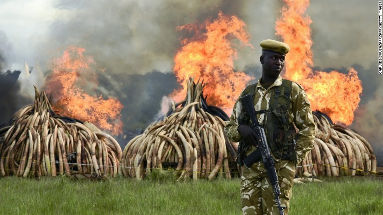 160430125344-kenya-ivory-burning-exlarge-169.jpg