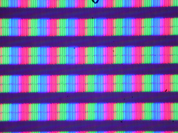 P107000403.jpg