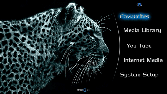 X3_BigCat_I_by_GlynRS2.gif