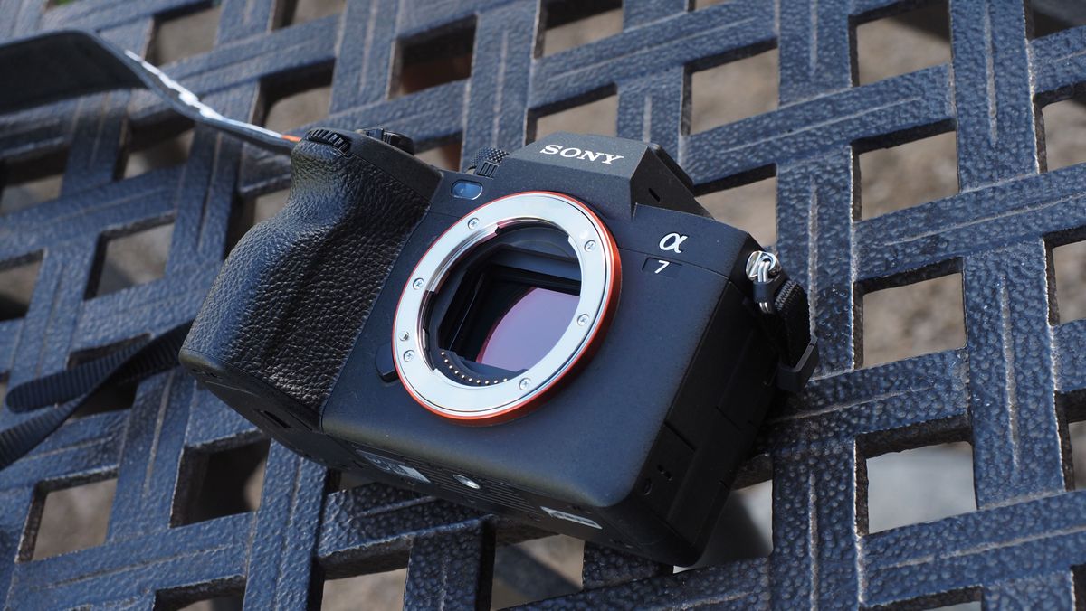 www.digitalcameraworld.com