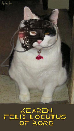 Darksheare%27s_BorgCat_KearenM.jpg