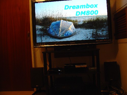 4105433750_de83779118.jpg