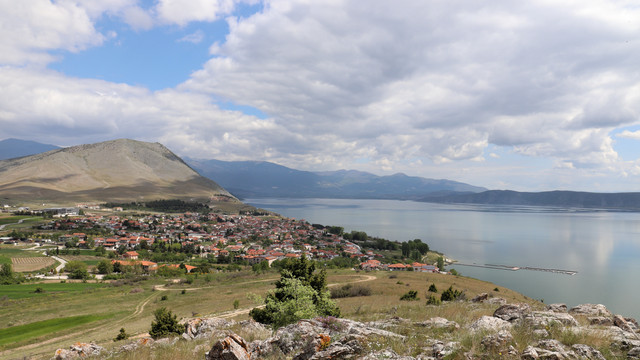 IMG-1746-Dx-O.jpg