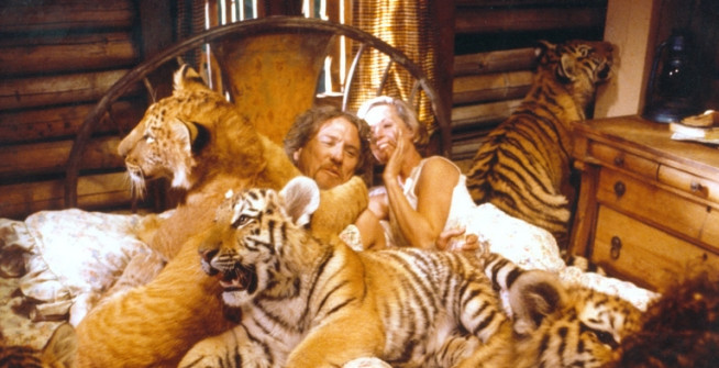 roar-1981.jpg