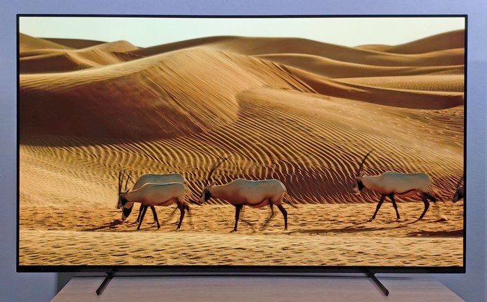 Sony_XR-65A80L_details_on_0001.jpg