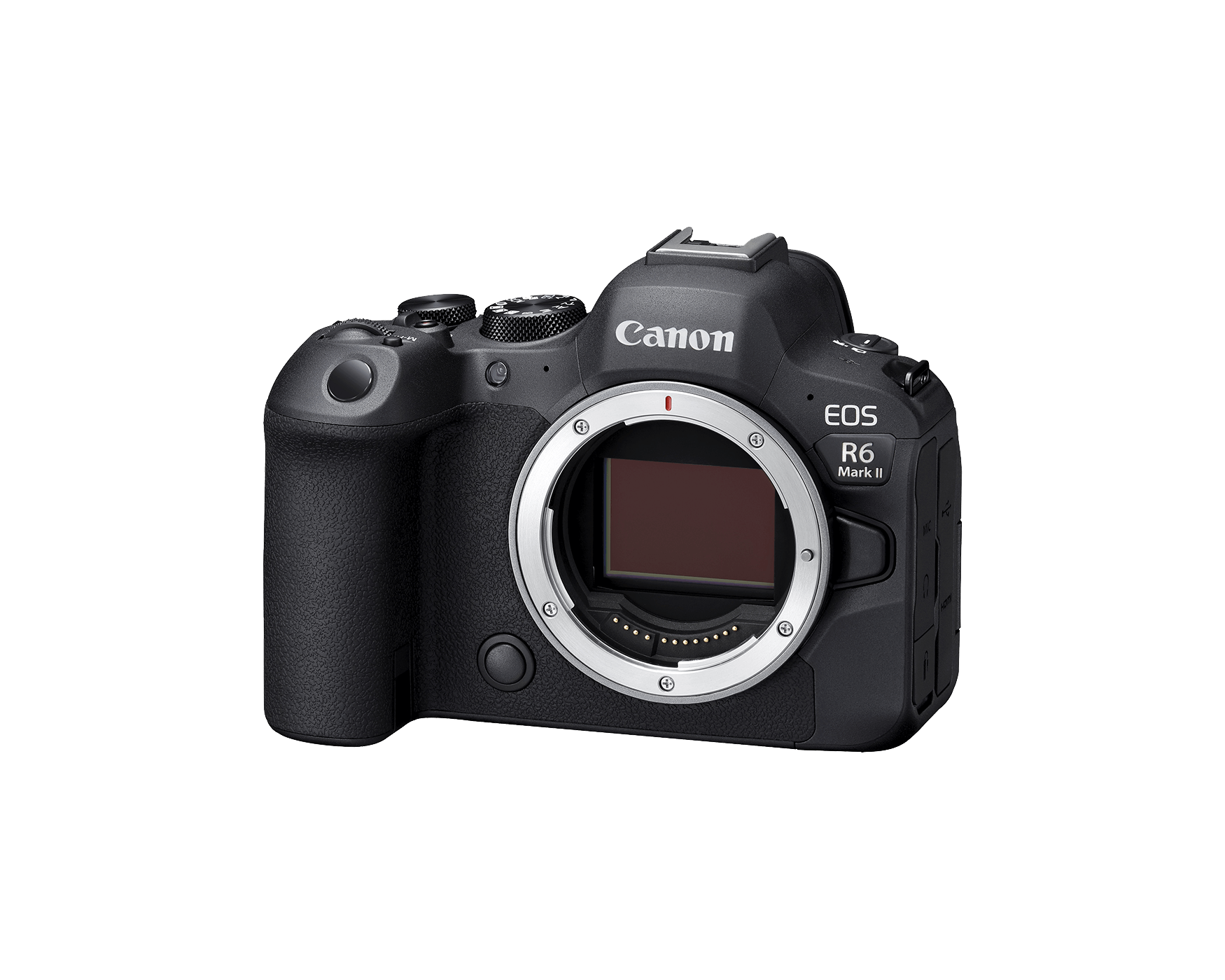 www.canonrumors.com