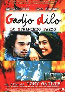 220px-Gadjo_dilo.jpg