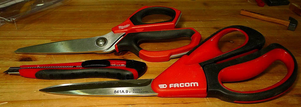 49809265916_7a26fabb61_b.jpg
