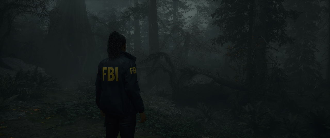 Alan-Wake-2-Screenshot-2023-10-28-01-08-23-42.png
