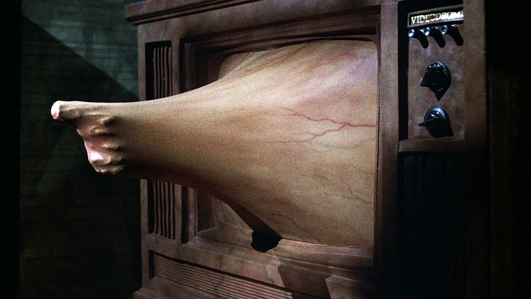 Videodrome%20-%203.jpg