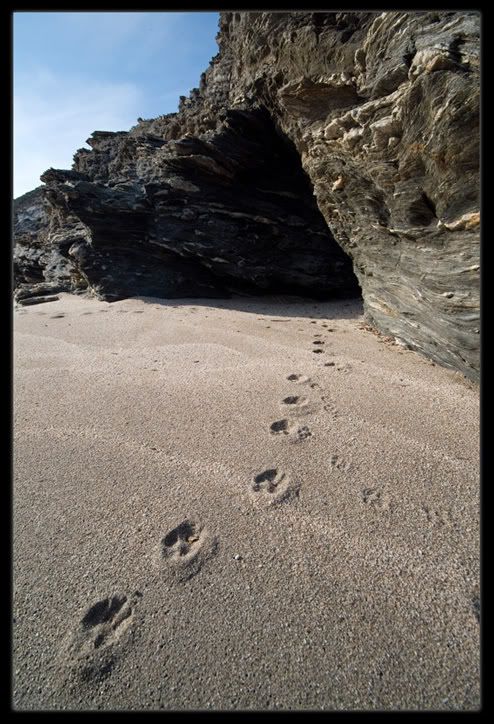 steps2.jpg