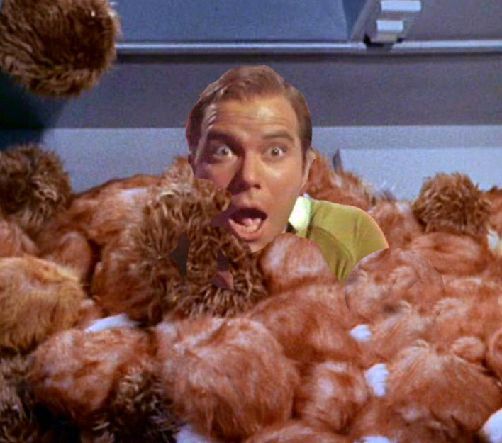 tribble2.jpeg