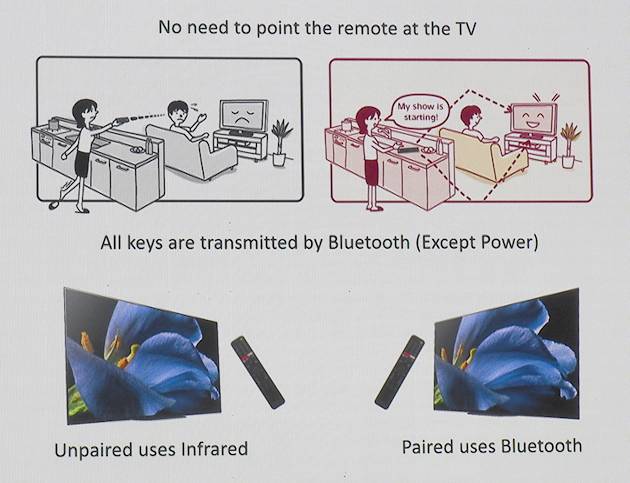 sony-pilot-2019b.jpg