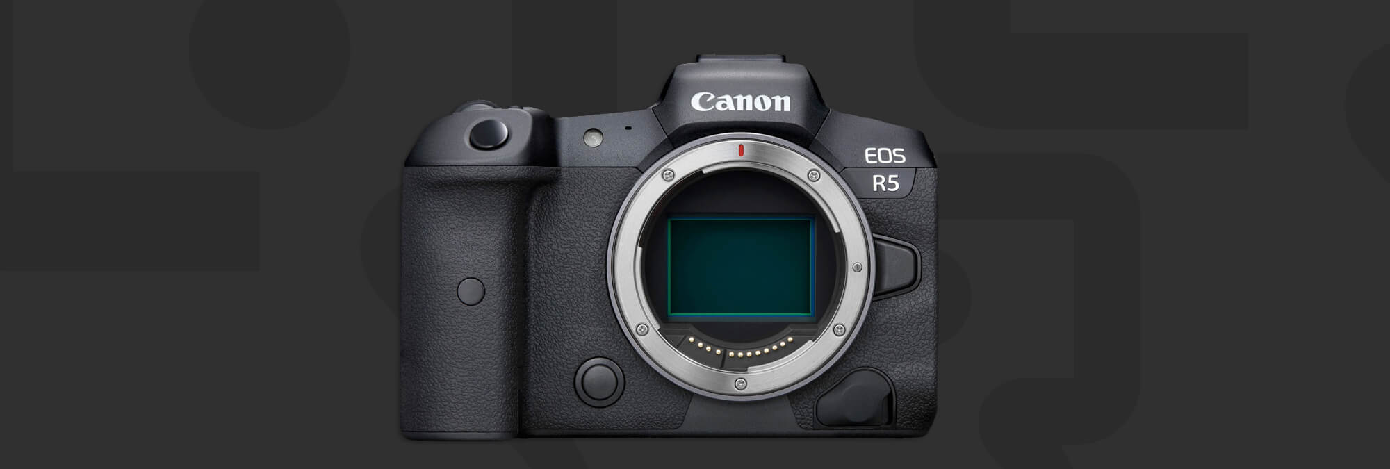 www.canonrumors.com