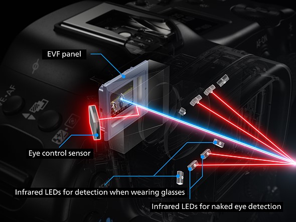 EOS_R3_evf.jpeg