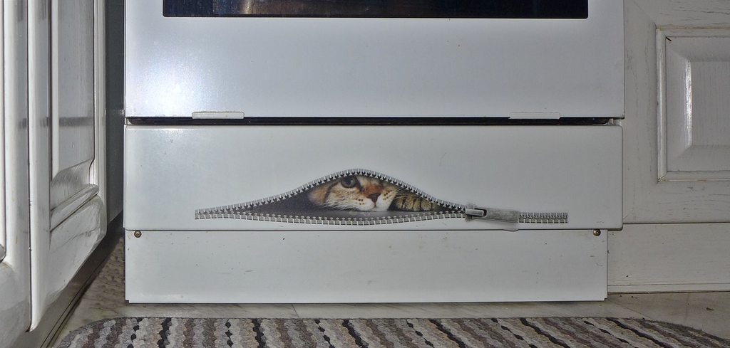 cwrb1sGh.jpg