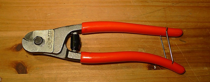 49909110217_6384bcdc25_c.jpg