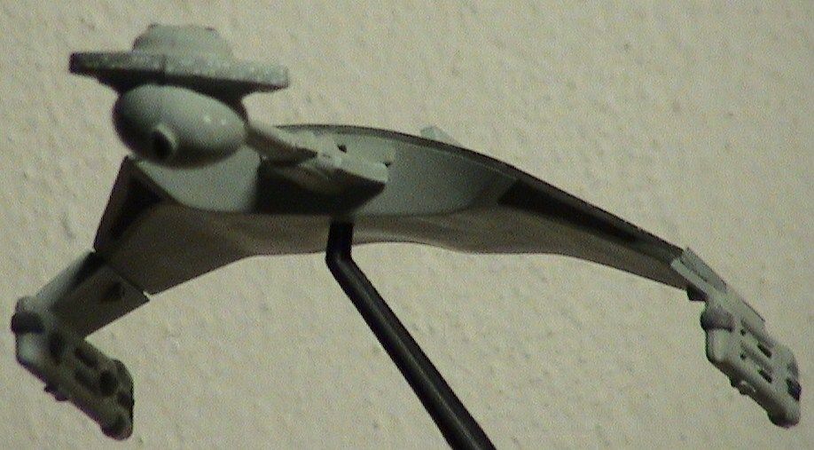 DSC00224.jpg