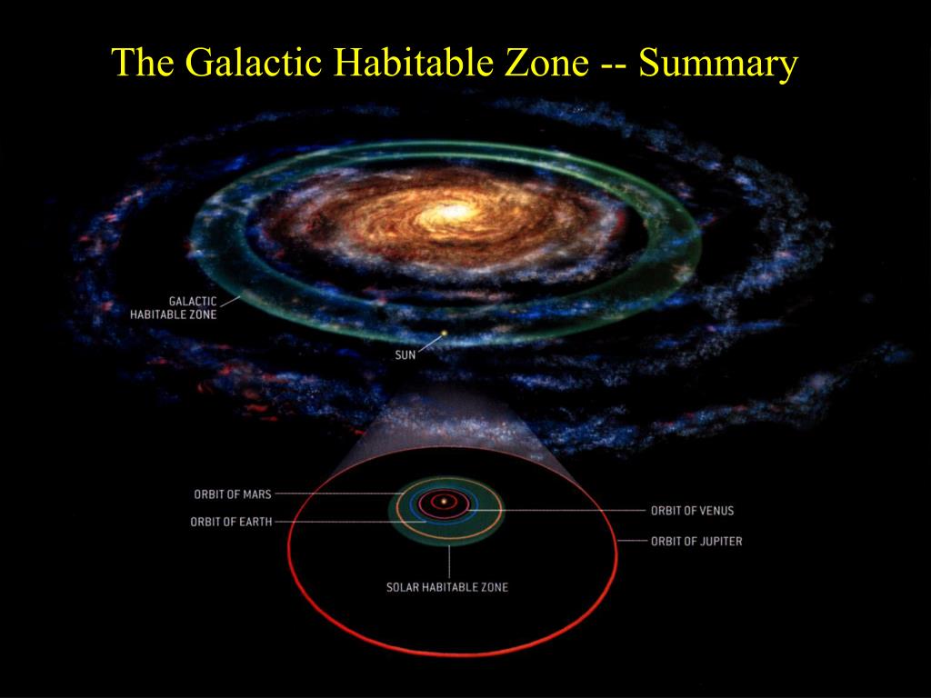 slide25-l.jpg