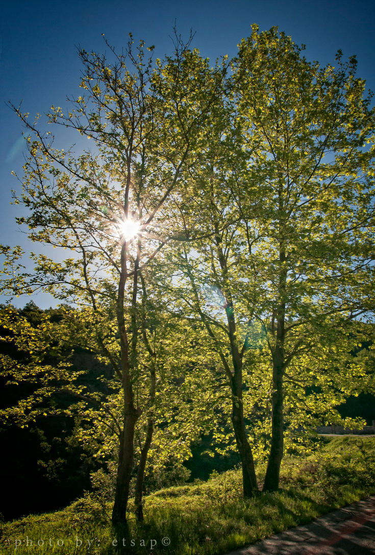 hiding_sun_by_etsap-d4zp2ia.jpg