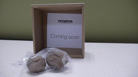 nuts_oly.jpg