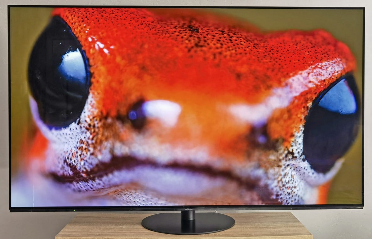 panasonic-tx-65jz1500e-details-0002.jpg