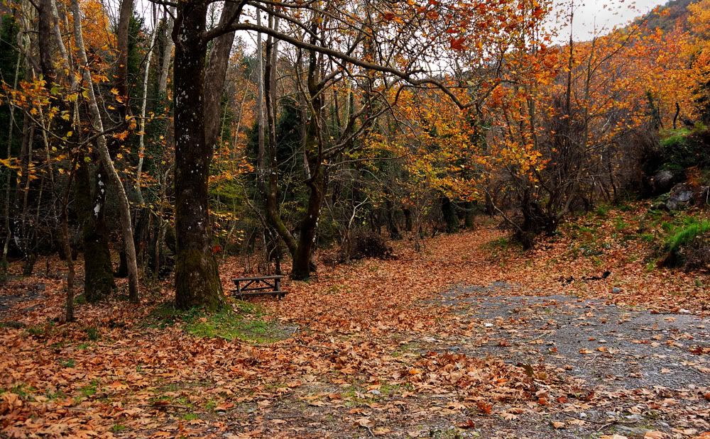 DSC_0984-3.jpg
