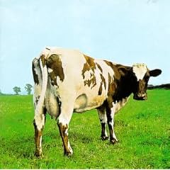 41TFHGM1MYL._SL500_AA240_.jpg