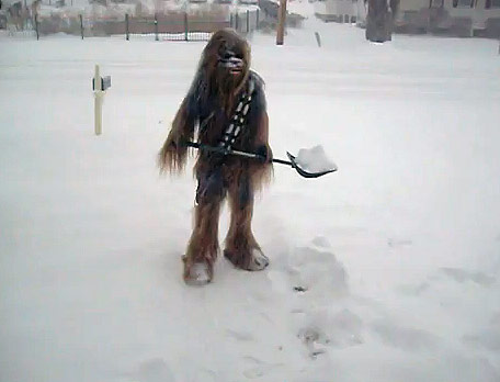 funny-chewbacca-snow.jpg