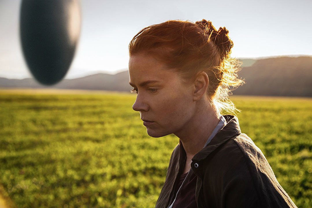 Arrival-image-1.jpg
