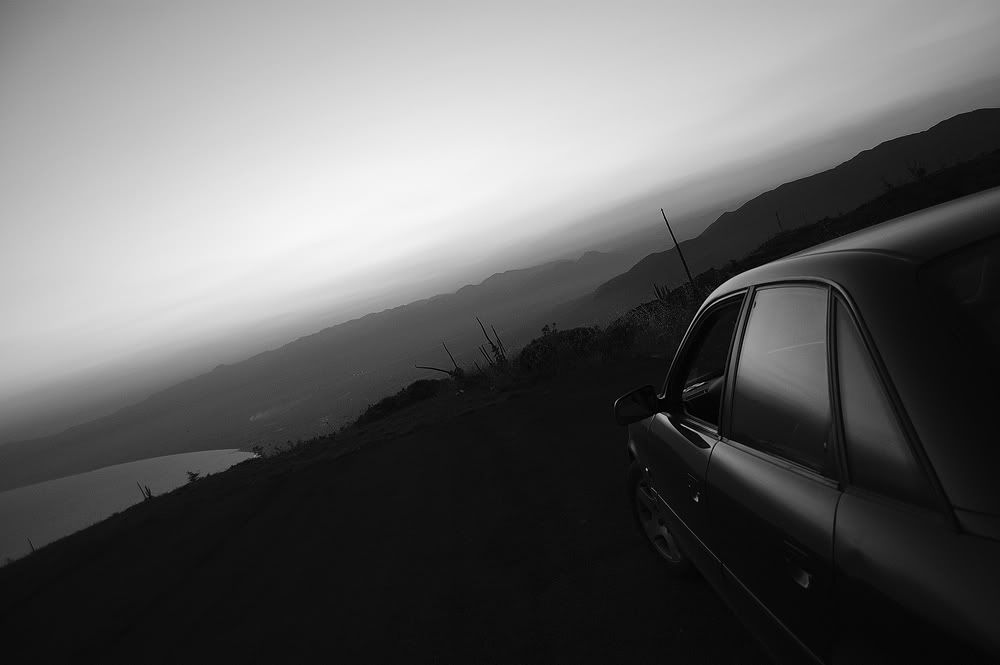 DSC_2179b.jpg