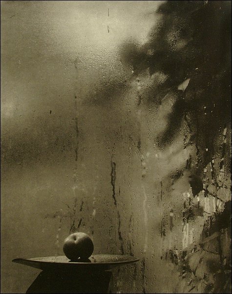 sudek19.jpg