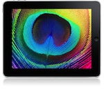 092037-ipad_display.jpg