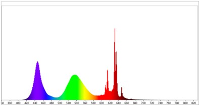 tcl-805-3.jpg