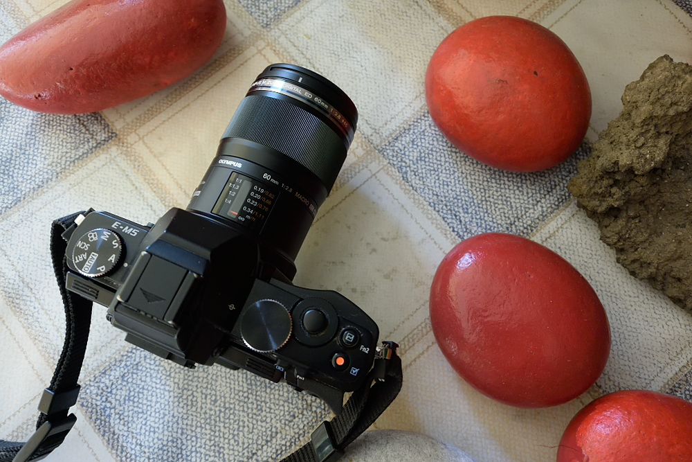 DSC_1418.jpg~original