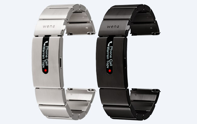 wena_pro_pair-650W.jpg