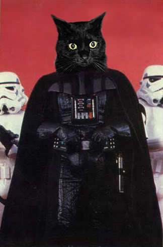 darth-vader-cat1.jpg