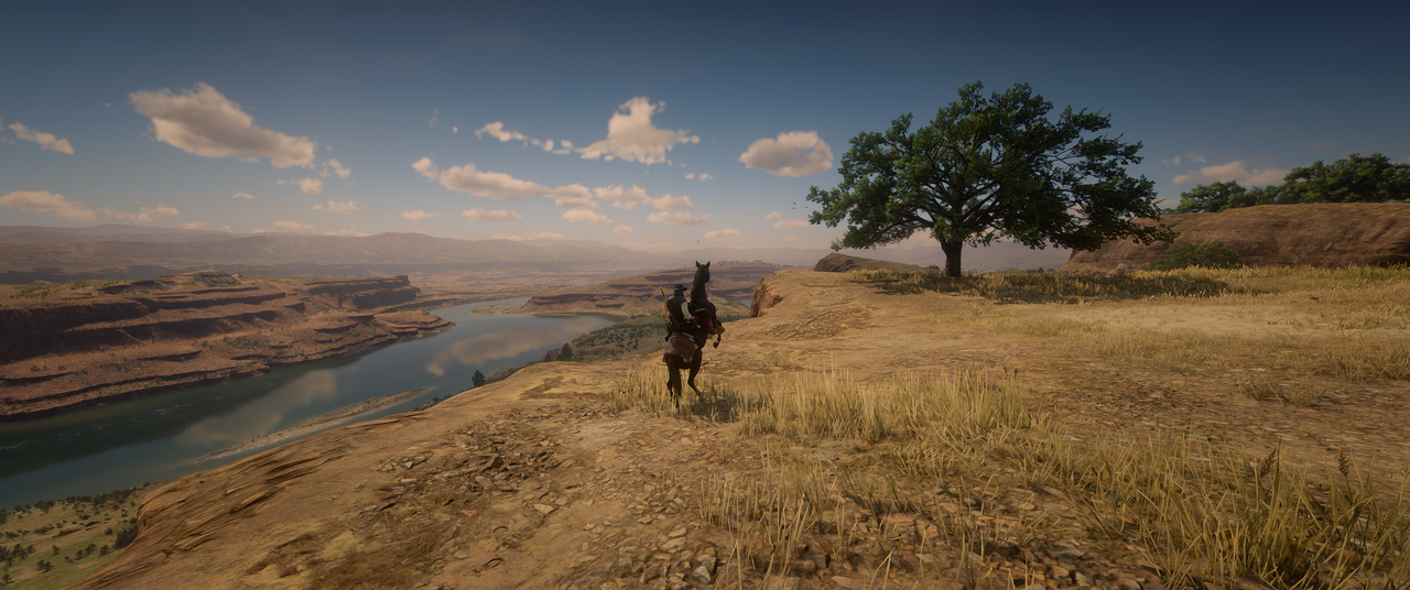 Red-Dead-Redemption-2-2023-01-06-20-01.png