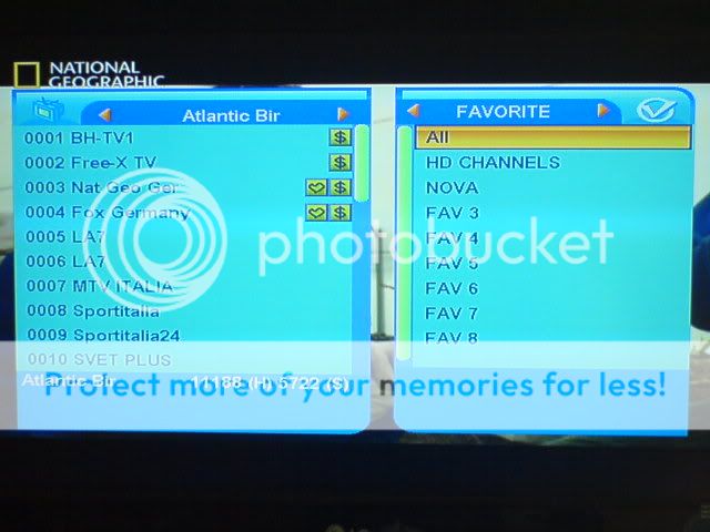 FAVORITE.jpg