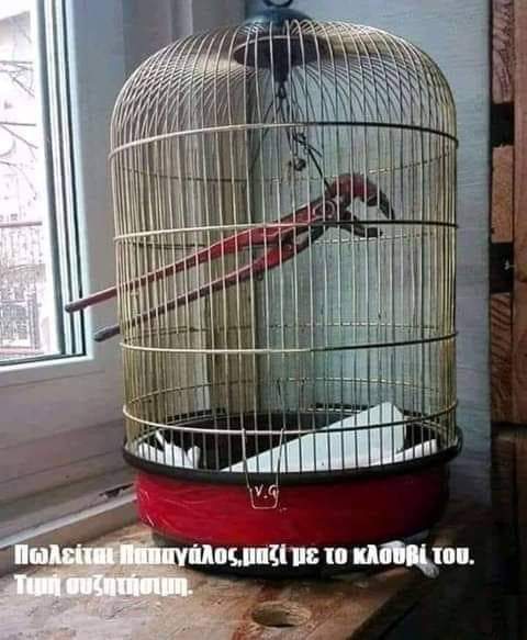 7339881045556b4fb1fe8c54e48e31e2.jpg