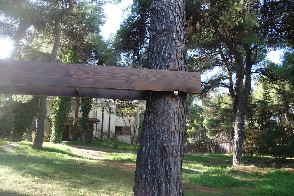20161224DSC02022_zpsv3maqyvb.jpg