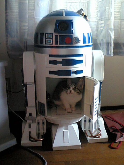 r2d2_with_cat_inside.jpg
