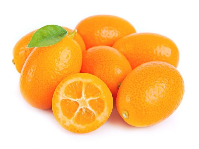kumquat.jpg