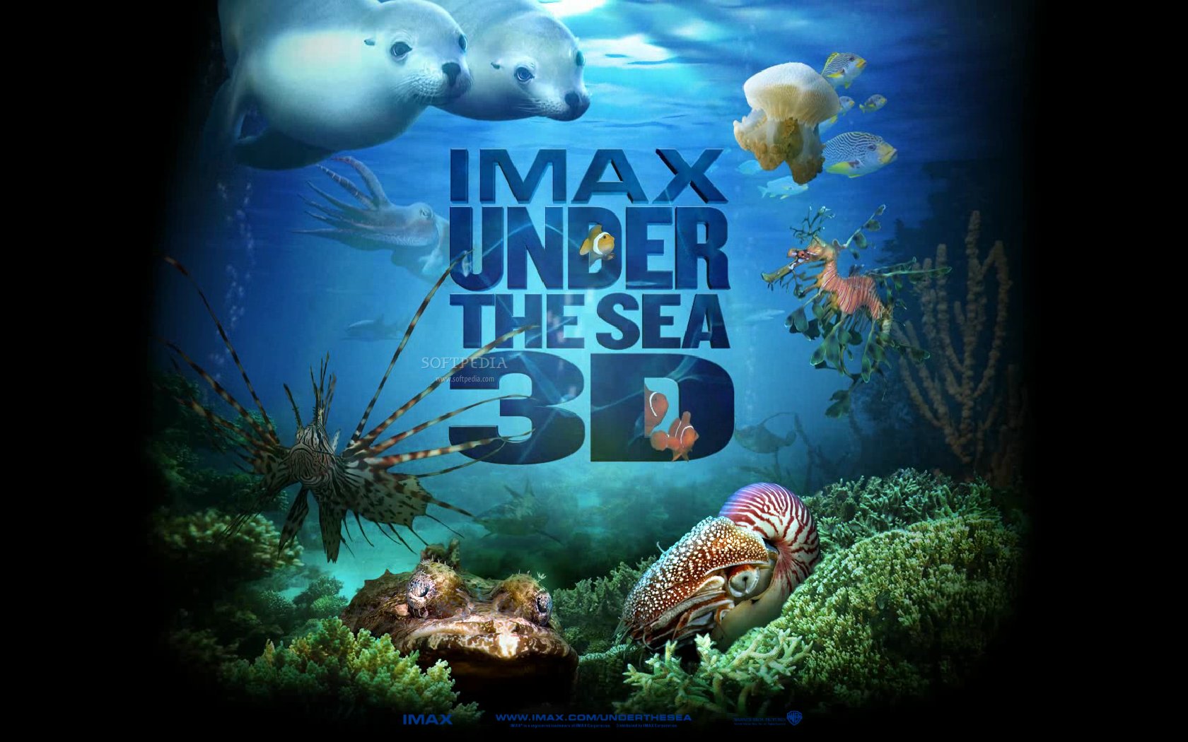 IMAX-Under-The-Sea_1.jpg