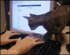 8eb24485e02521e66f2835782e731ea6.gif